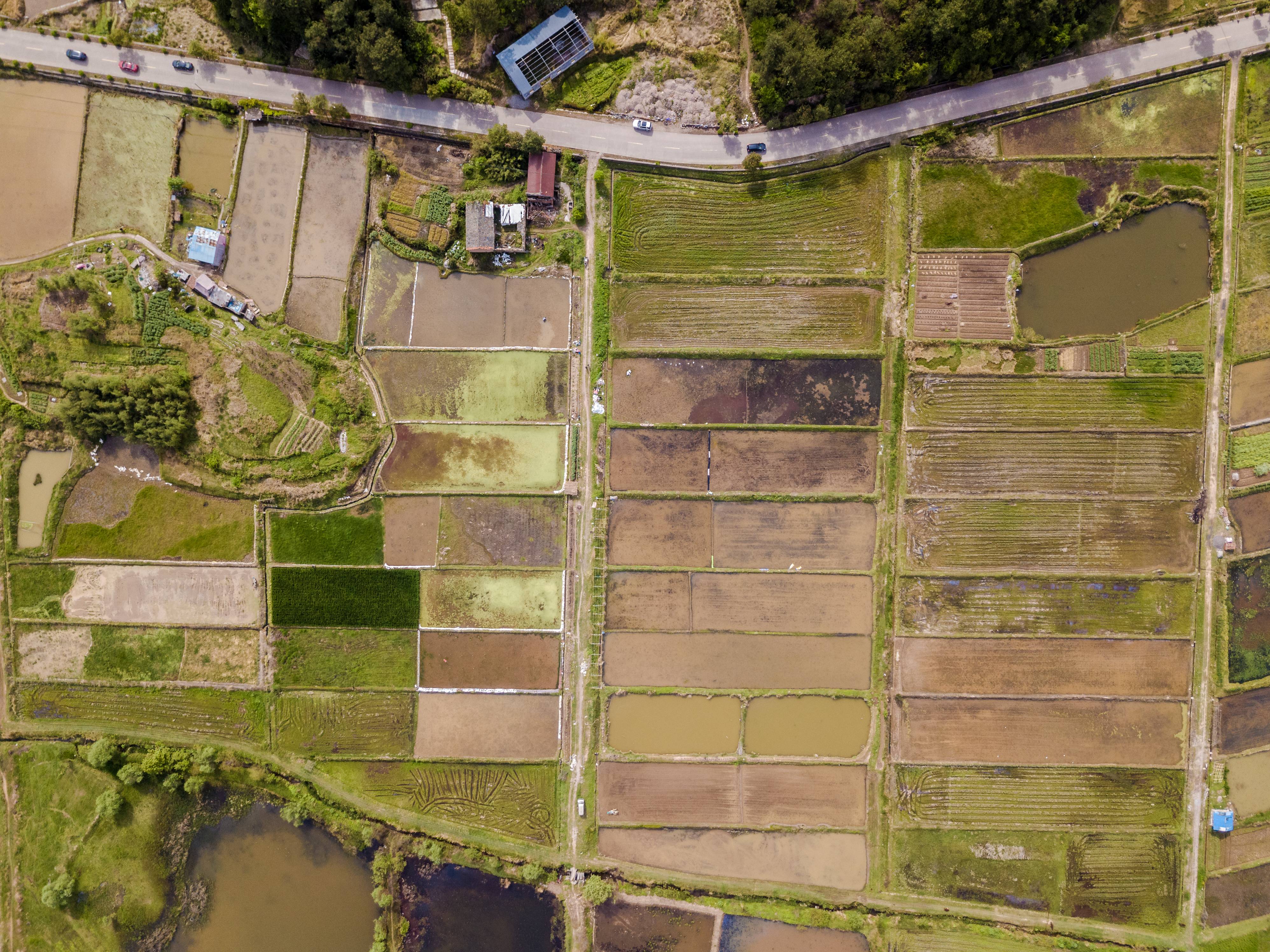 自然资源部出台“要素稳增长26条” ，涉及用地用海审批、耕地和永久基本农田保护等内容