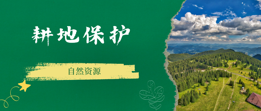 领悟总书记抓土地工作的系统思维 | 新华社