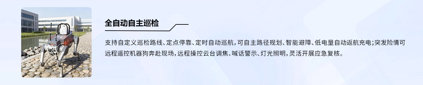 全自动自主巡检 1.jpg